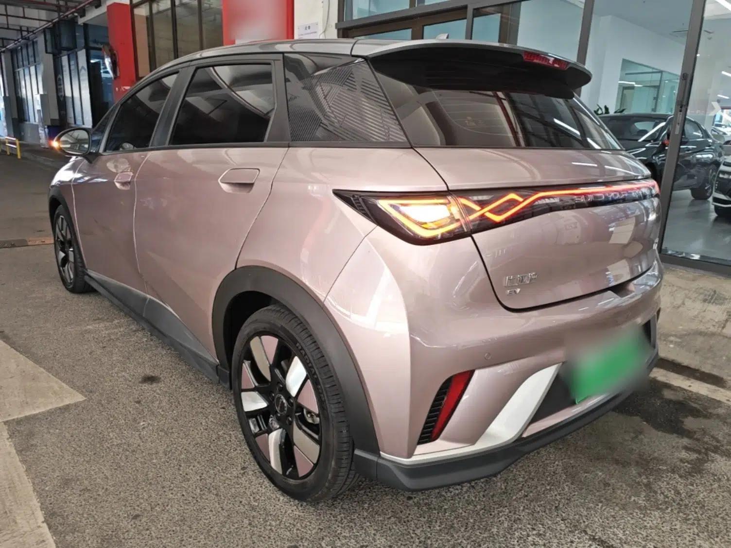 BYD Dolphin 2021 401km Knight Edition — миниатюра 4