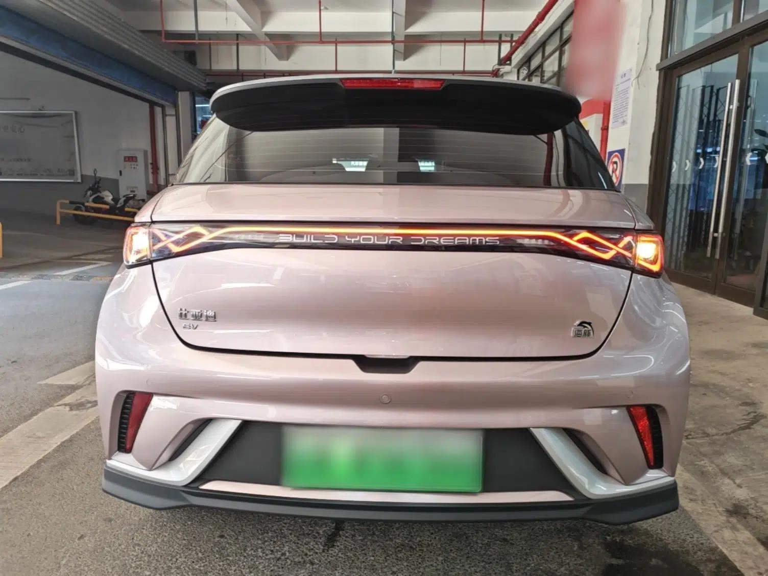 BYD Dolphin 2021 401km Knight Edition — миниатюра 5