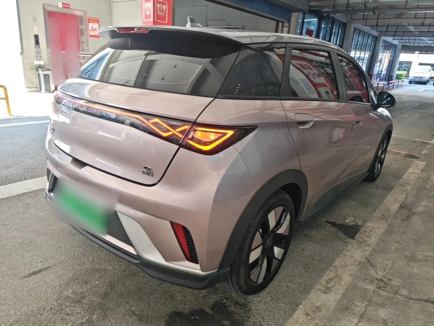 BYD Dolphin 2021 401km Knight Edition — миниатюра 6