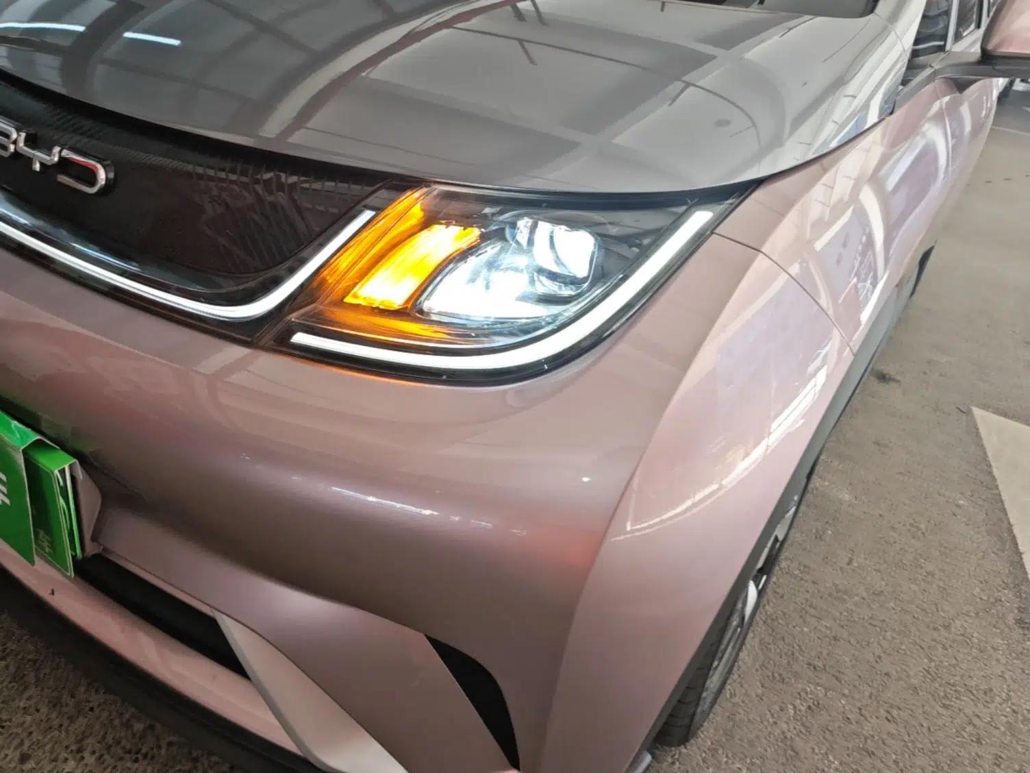 BYD Dolphin 2021 401km Knight Edition — миниатюра 8
