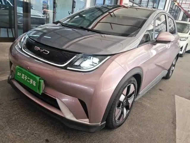BYD Dolphin 2021 401km Knight Edition