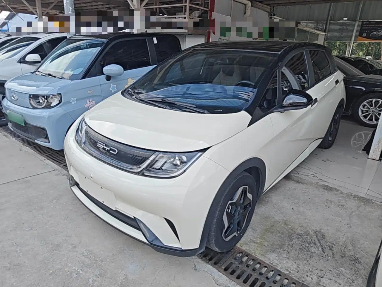BYD Dolphin 2021 405 km Fashion Edition — миниатюра 1
