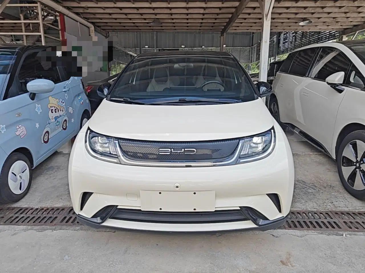 BYD Dolphin 2021 405 km Fashion Edition — миниатюра 2