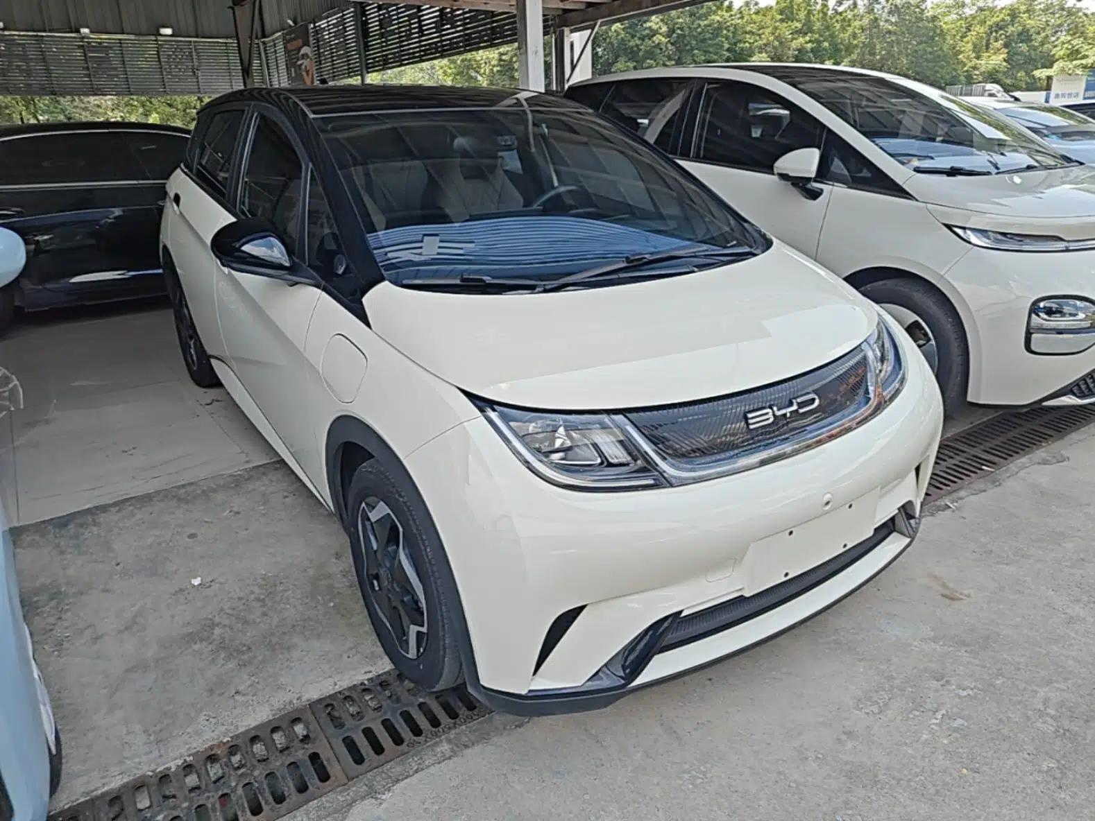 BYD Dolphin 2021 405 km Fashion Edition — миниатюра 3