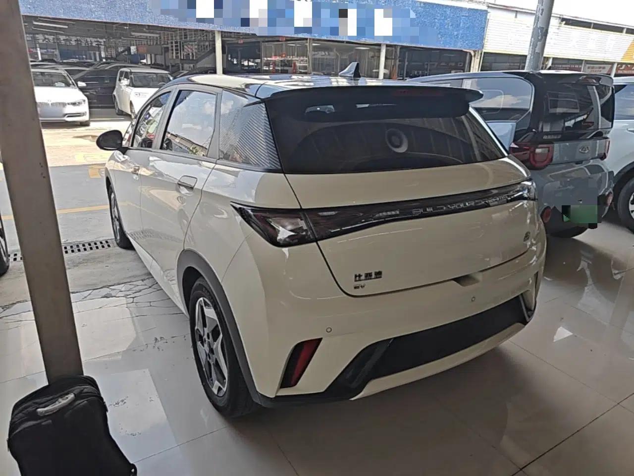 BYD Dolphin 2021 405 km Fashion Edition — миниатюра 4