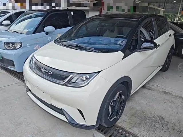 BYD Dolphin 2021 405 km Fashion Edition