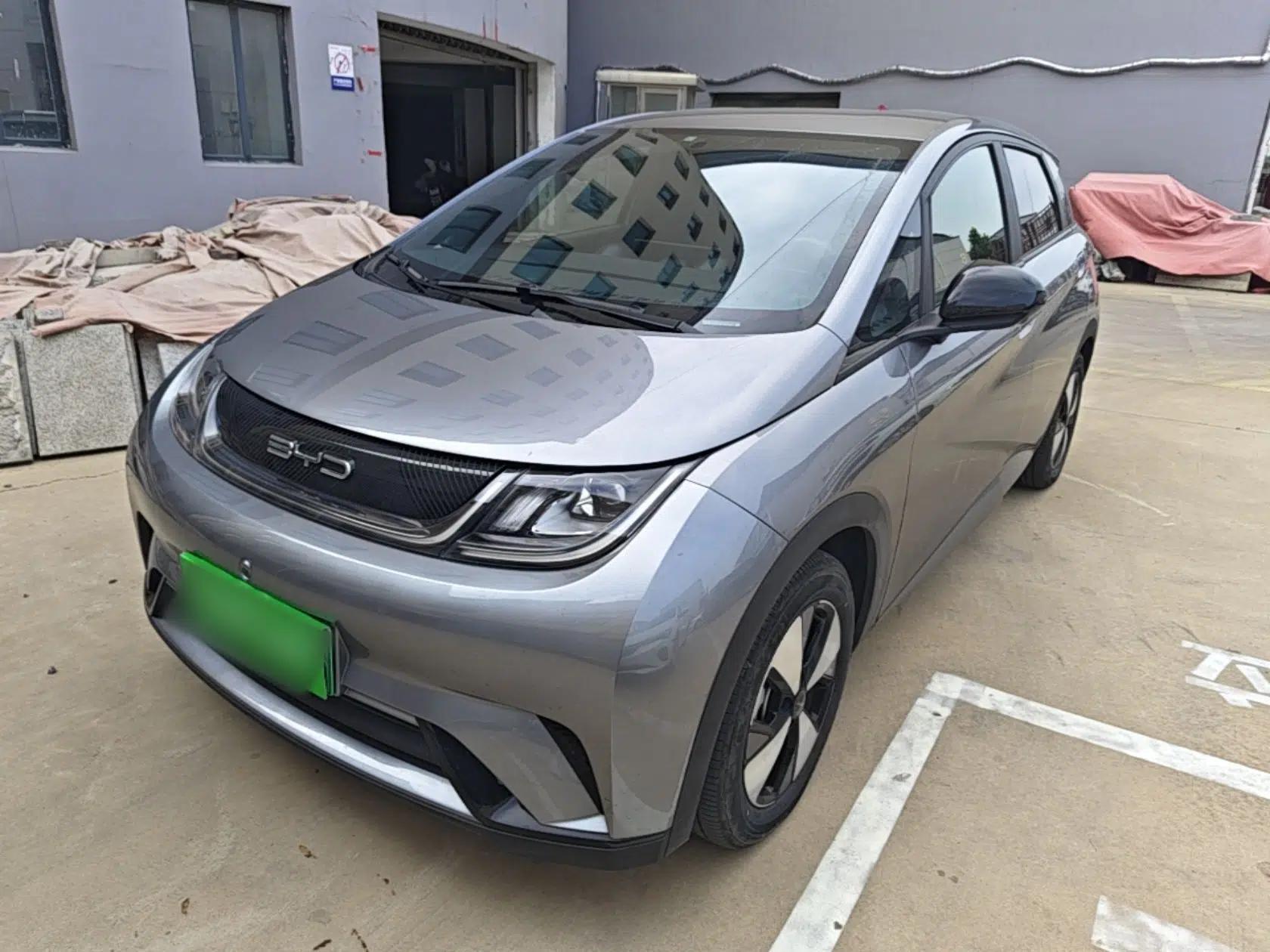 BYD Dolphin 2023 420 km Free Version — миниатюра 1
