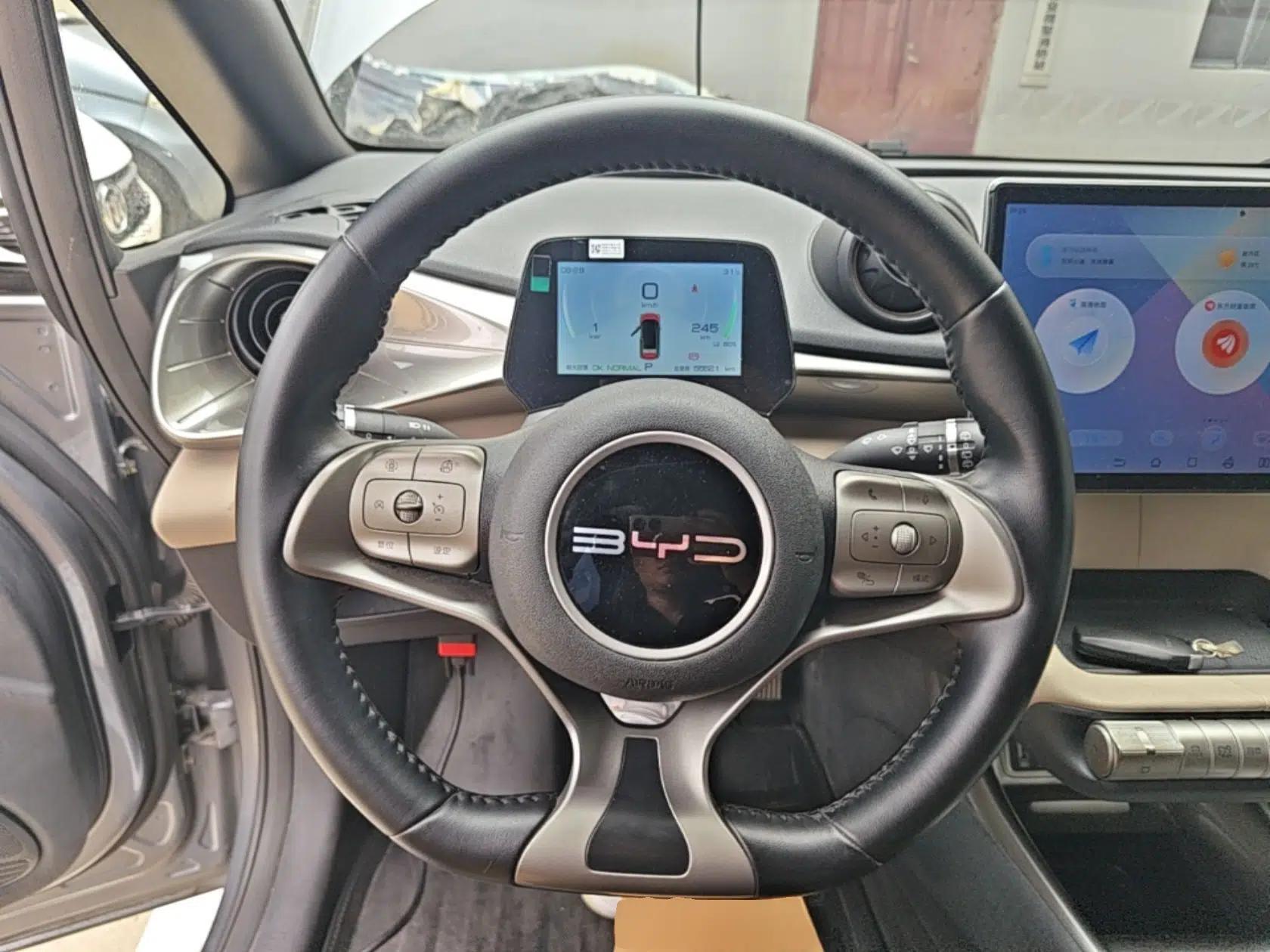BYD Dolphin 2023 420 km Free Version — миниатюра 13