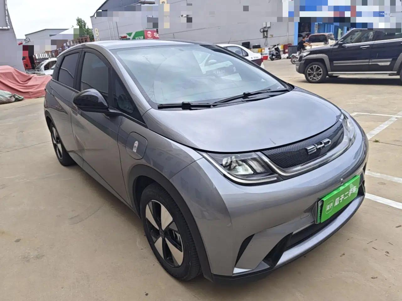 BYD Dolphin 2023 420 km Free Version — миниатюра 3