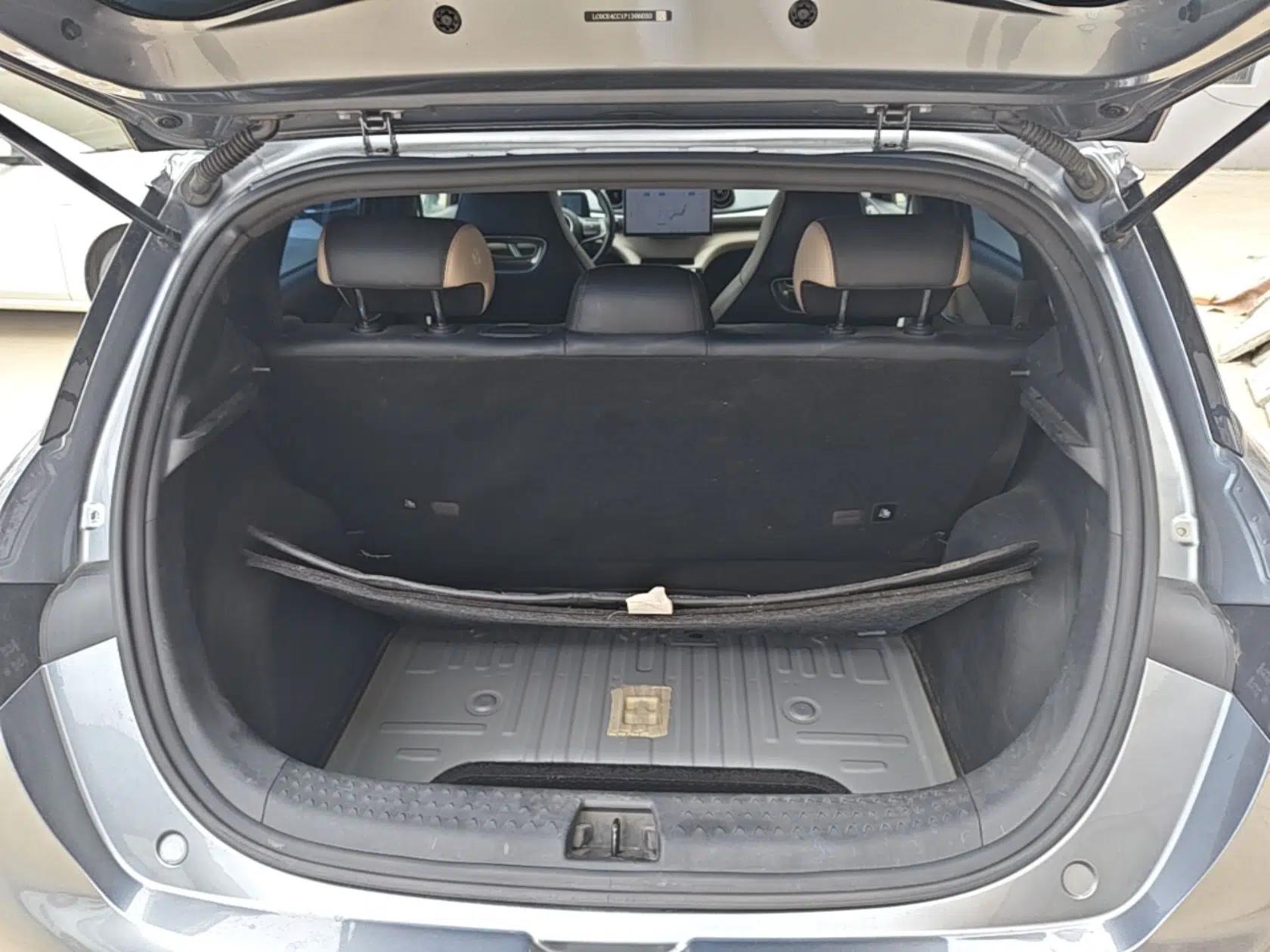 BYD Dolphin 2023 420 km Free Version — миниатюра 22