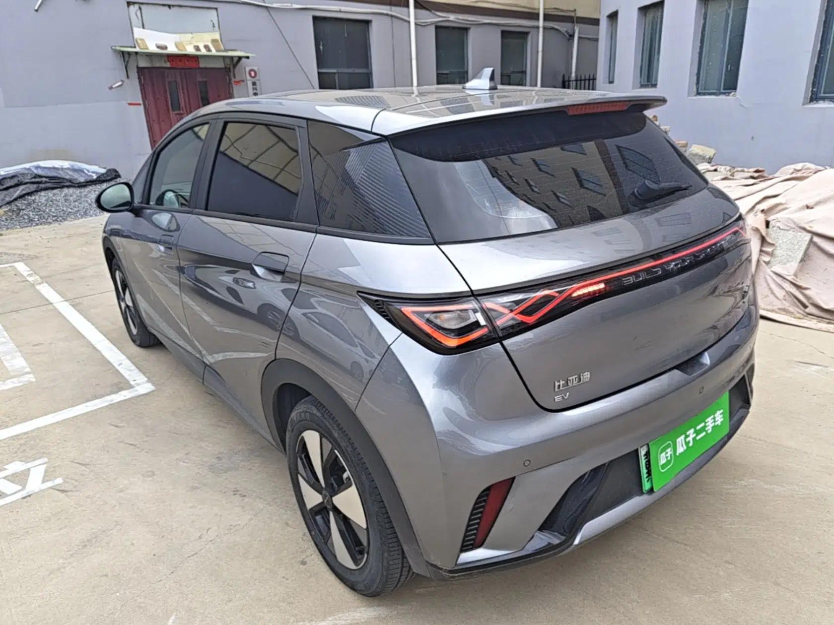 BYD Dolphin 2023 420 km Free Version — миниатюра 4