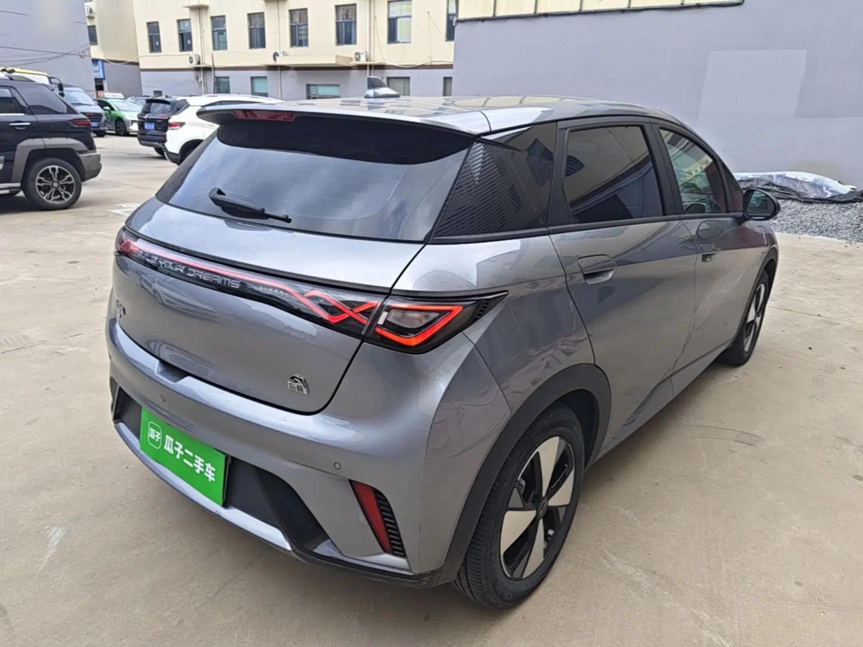 BYD Dolphin 2023 420 km Free Version — миниатюра 6