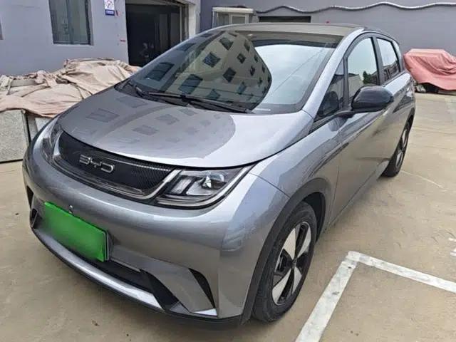 BYD Dolphin 2023 420 km Free Version