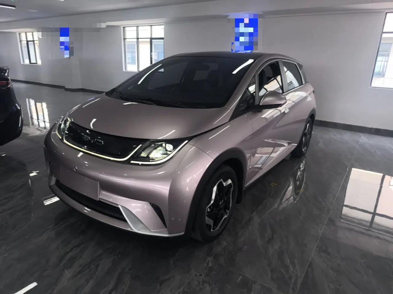 BYD Dolphin 2021 405 km Fashion Edition — миниатюра 1