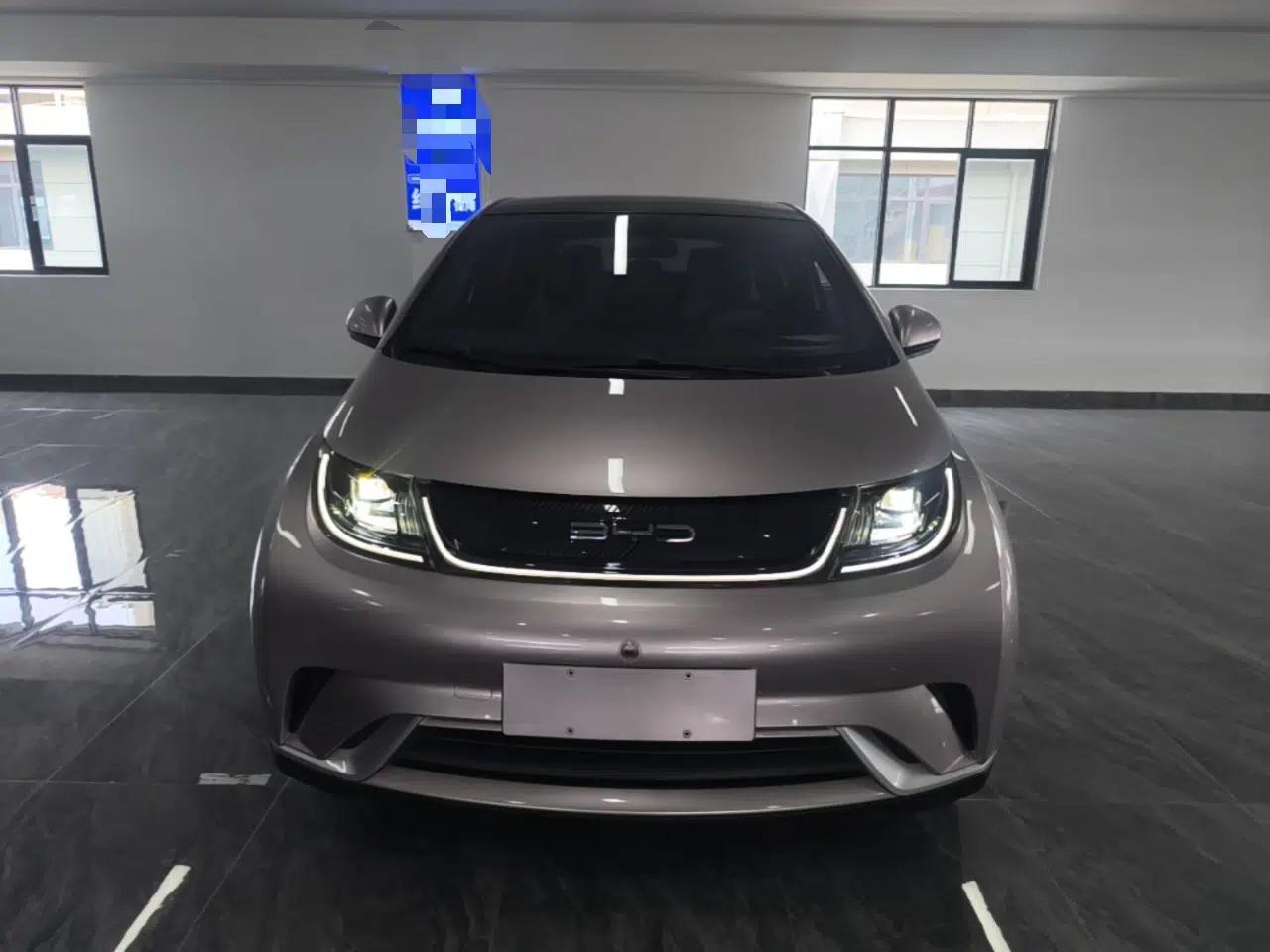 BYD Dolphin 2021 405 km Fashion Edition — миниатюра 2