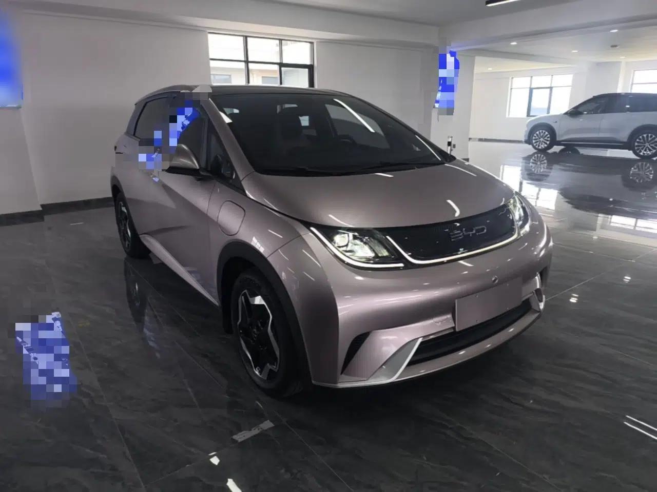 BYD Dolphin 2021 405 km Fashion Edition — миниатюра 3