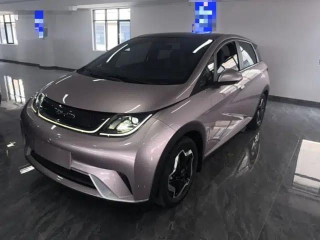 BYD Dolphin 2021 405 km Fashion Edition