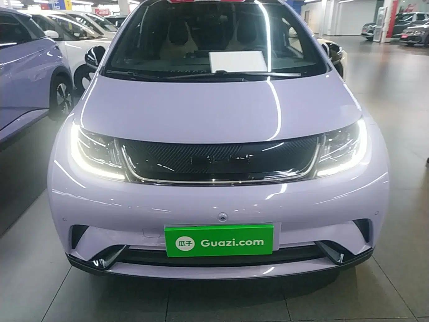 BYD Dolphin 2023 420 km Fashion Edition — миниатюра 2