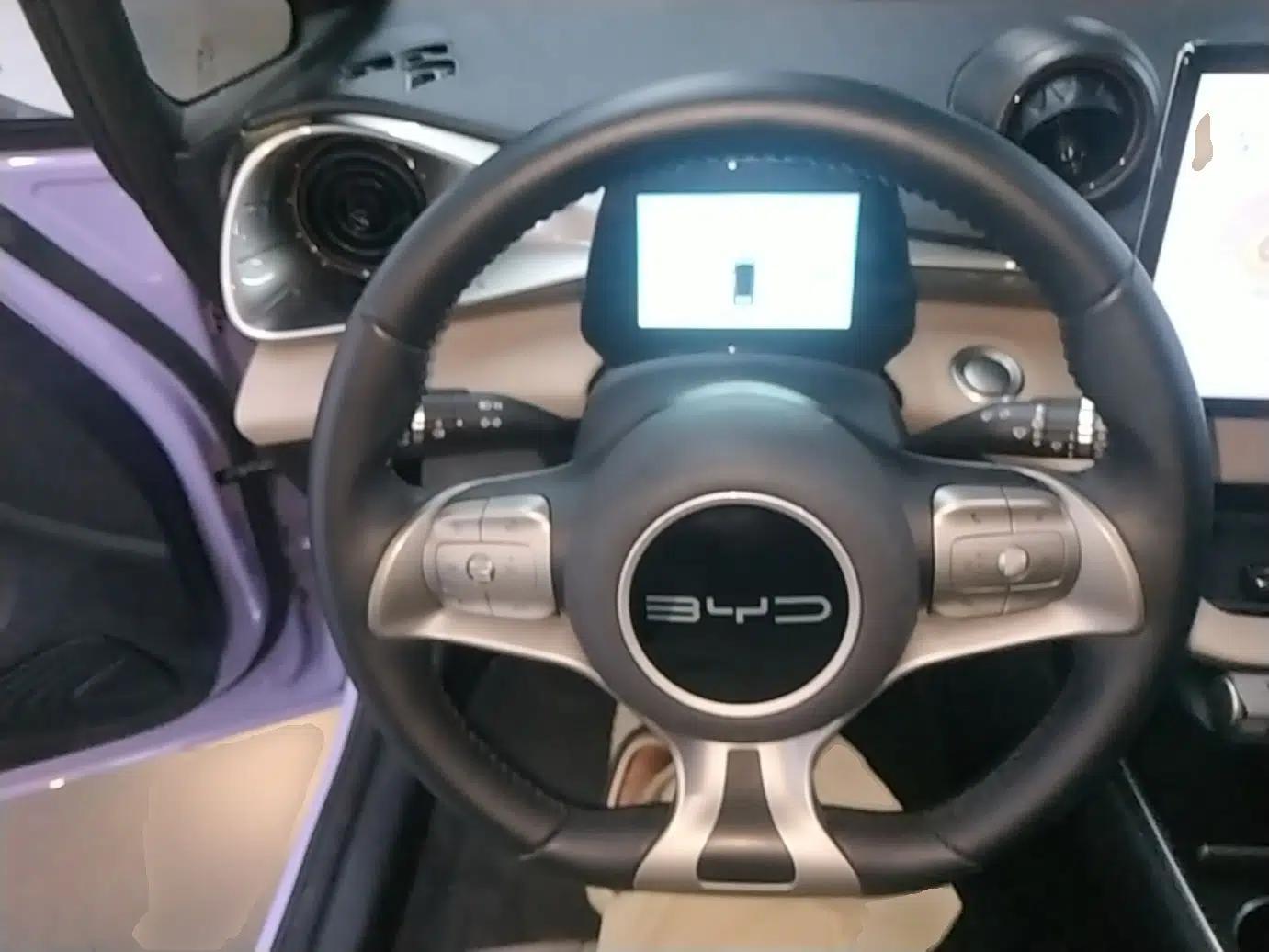 BYD Dolphin 2023 420 km Fashion Edition — миниатюра 13