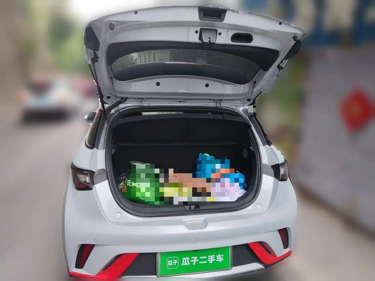 BYD Dolphin 2021 405 km Free Version — миниатюра 14
