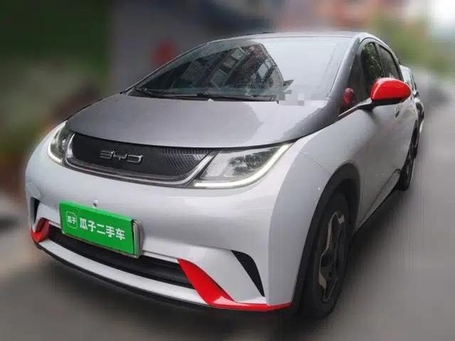 BYD Dolphin 2021 405 km Free Version