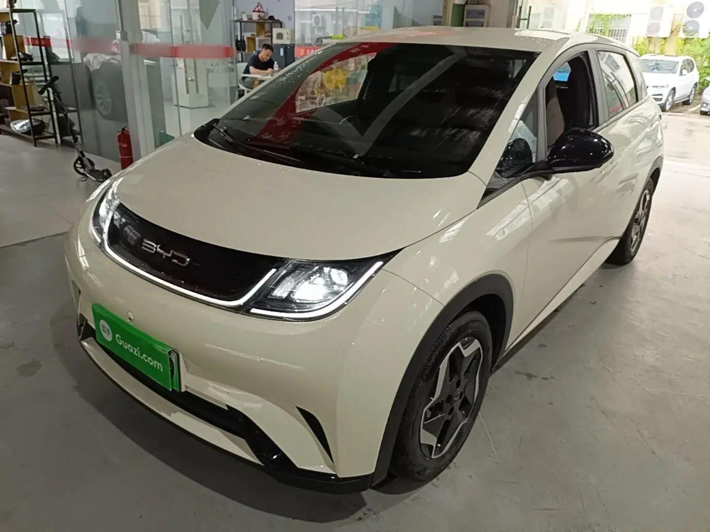 BYD Dolphin 2021 405 km Free Version — миниатюра 1