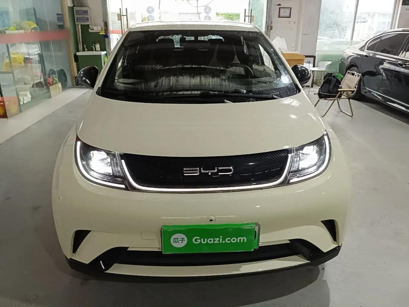 BYD Dolphin 2021 405 km Free Version — миниатюра 2