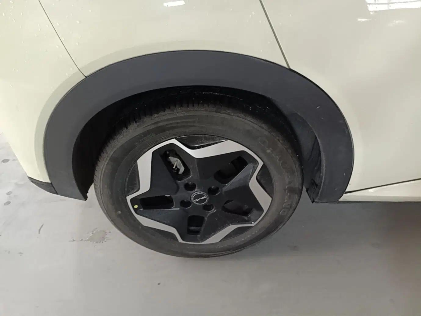 BYD Dolphin 2021 405 km Free Version — миниатюра 11