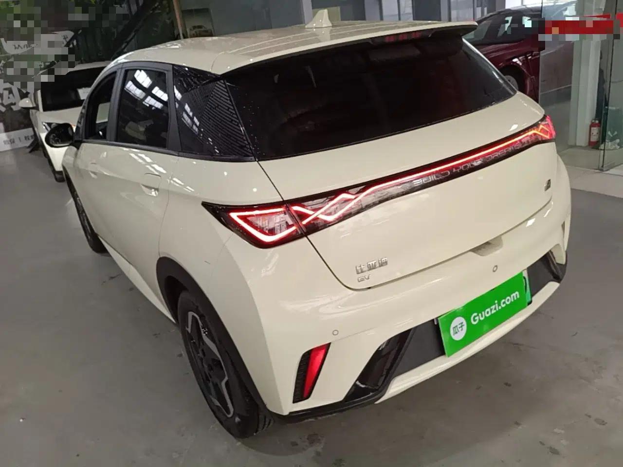 BYD Dolphin 2021 405 km Free Version — миниатюра 13