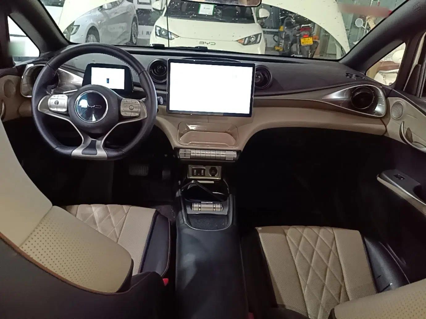 BYD Dolphin 2021 405 km Free Version — миниатюра 17