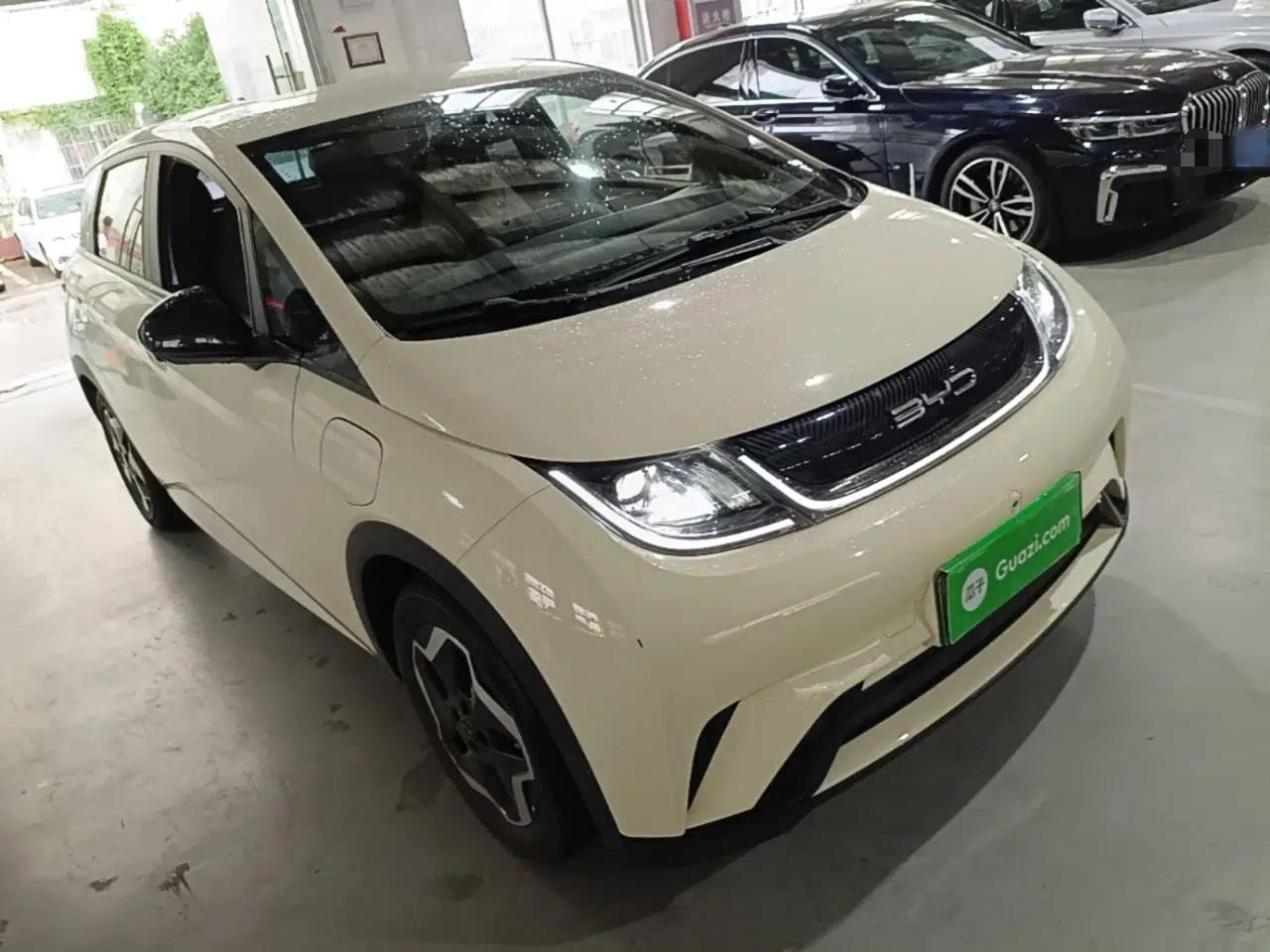BYD Dolphin 2021 405 km Free Version — миниатюра 3