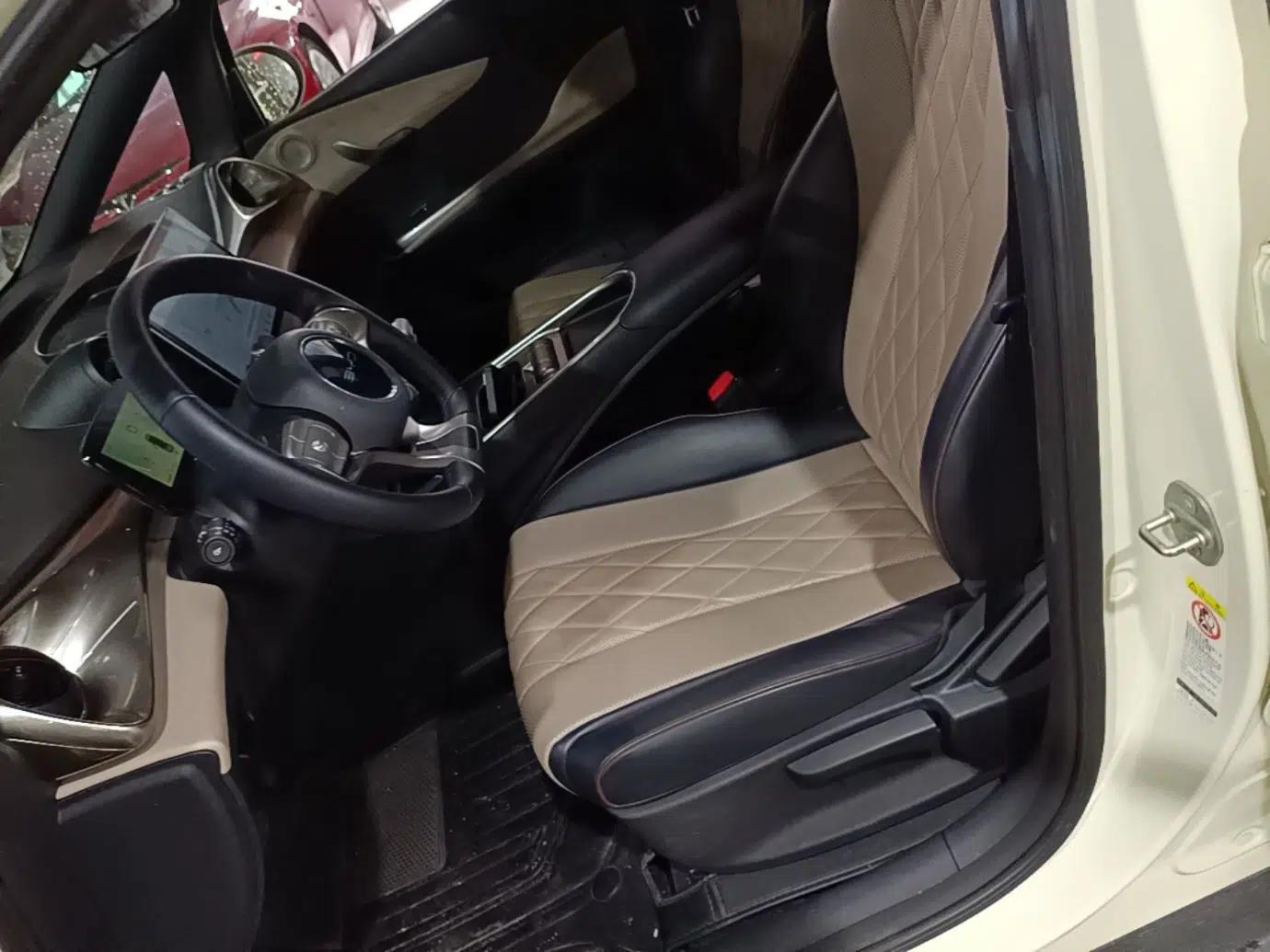 BYD Dolphin 2021 405 km Free Version — миниатюра 22