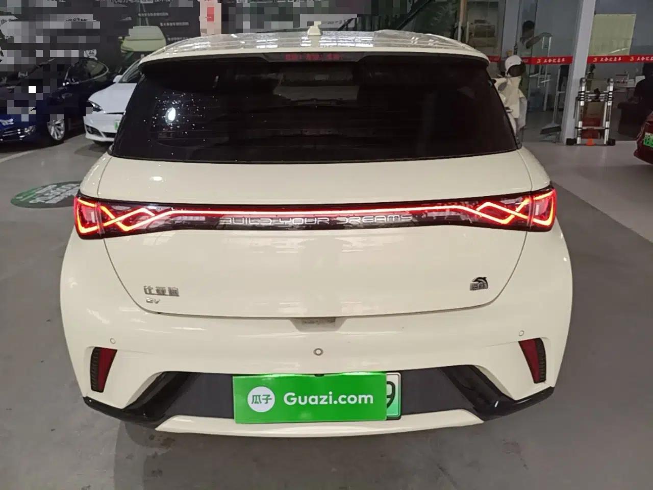 BYD Dolphin 2021 405 km Free Version — миниатюра 5