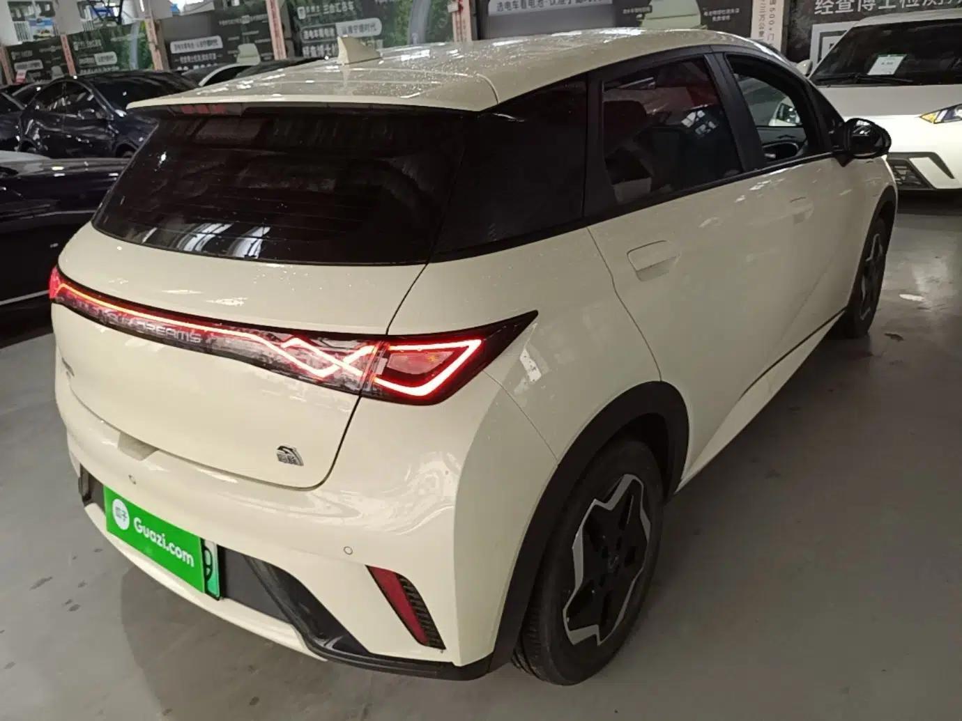 BYD Dolphin 2021 405 km Free Version — миниатюра 6