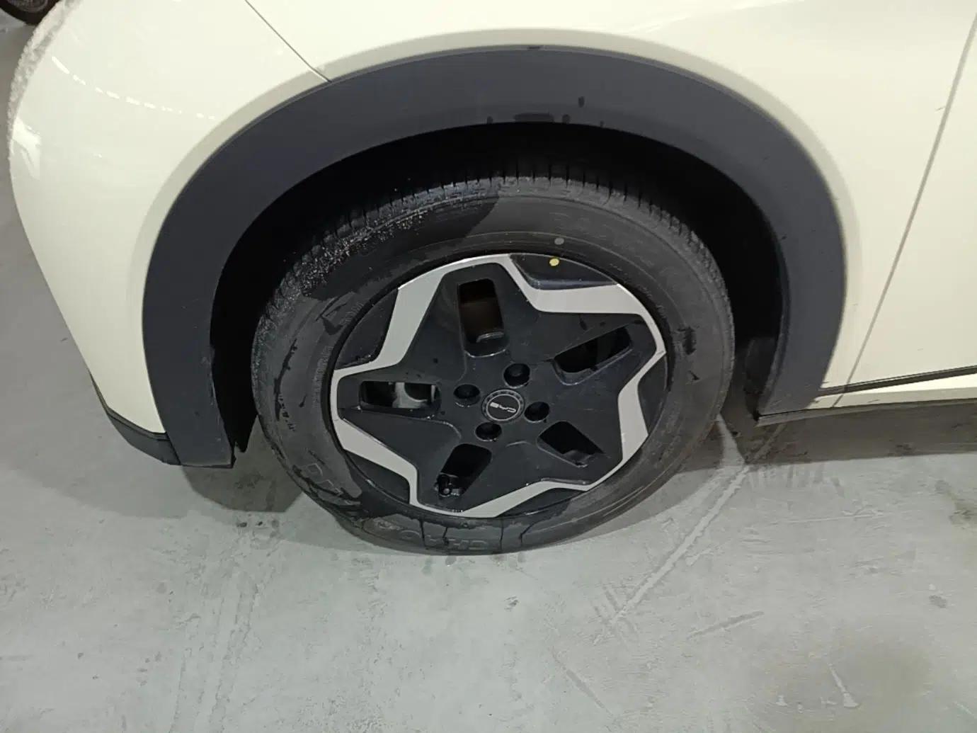 BYD Dolphin 2021 405 km Free Version — миниатюра 10
