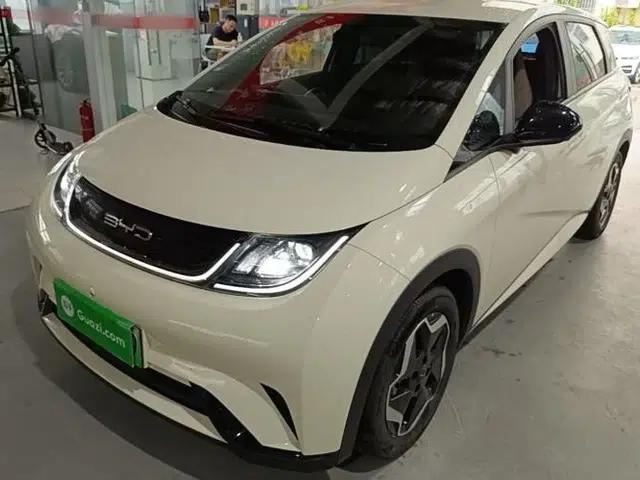 BYD Dolphin 2021 405 km Free Version