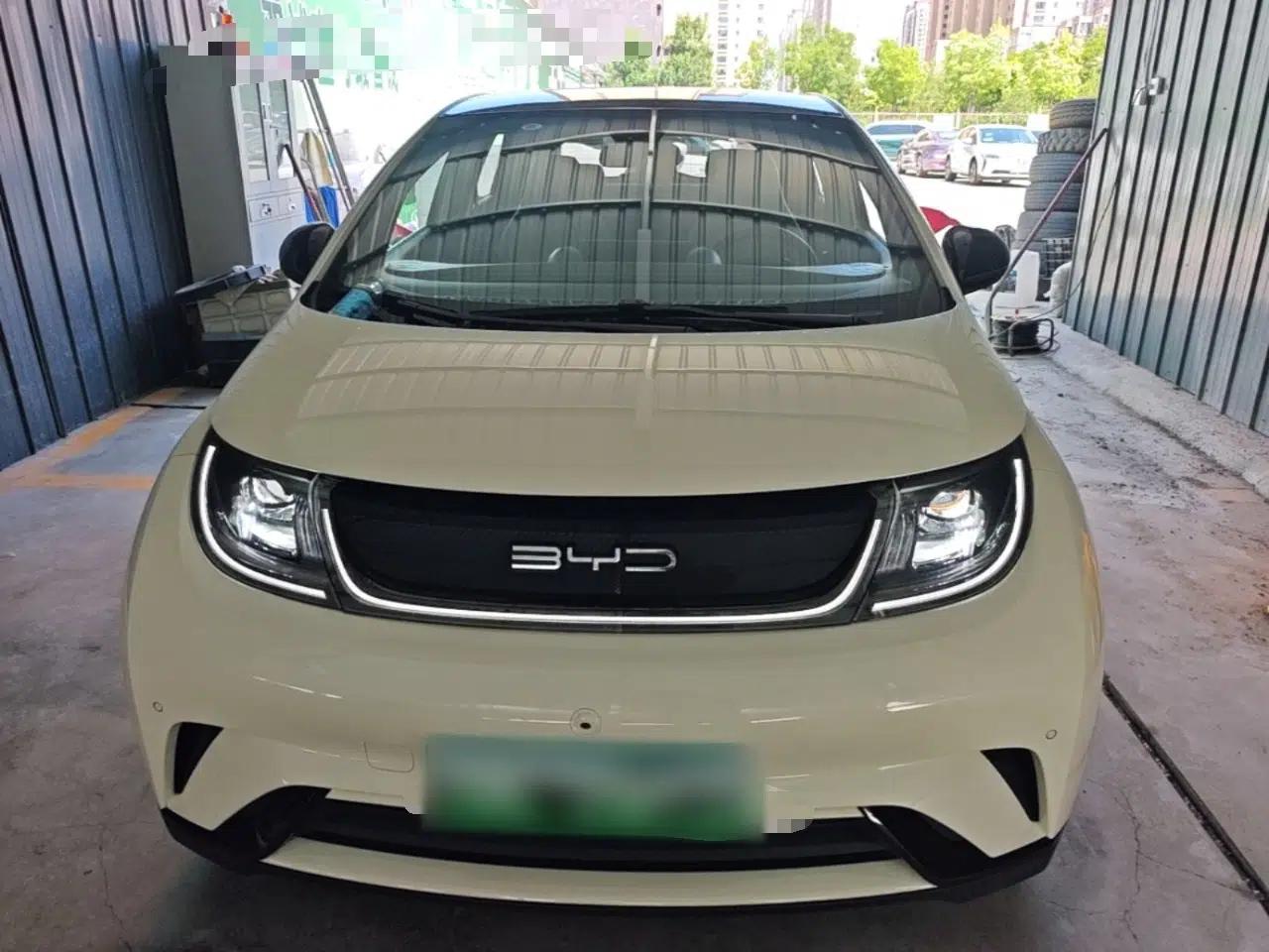 BYD Dolphin 2023 420 km Fashion Edition — миниатюра 2