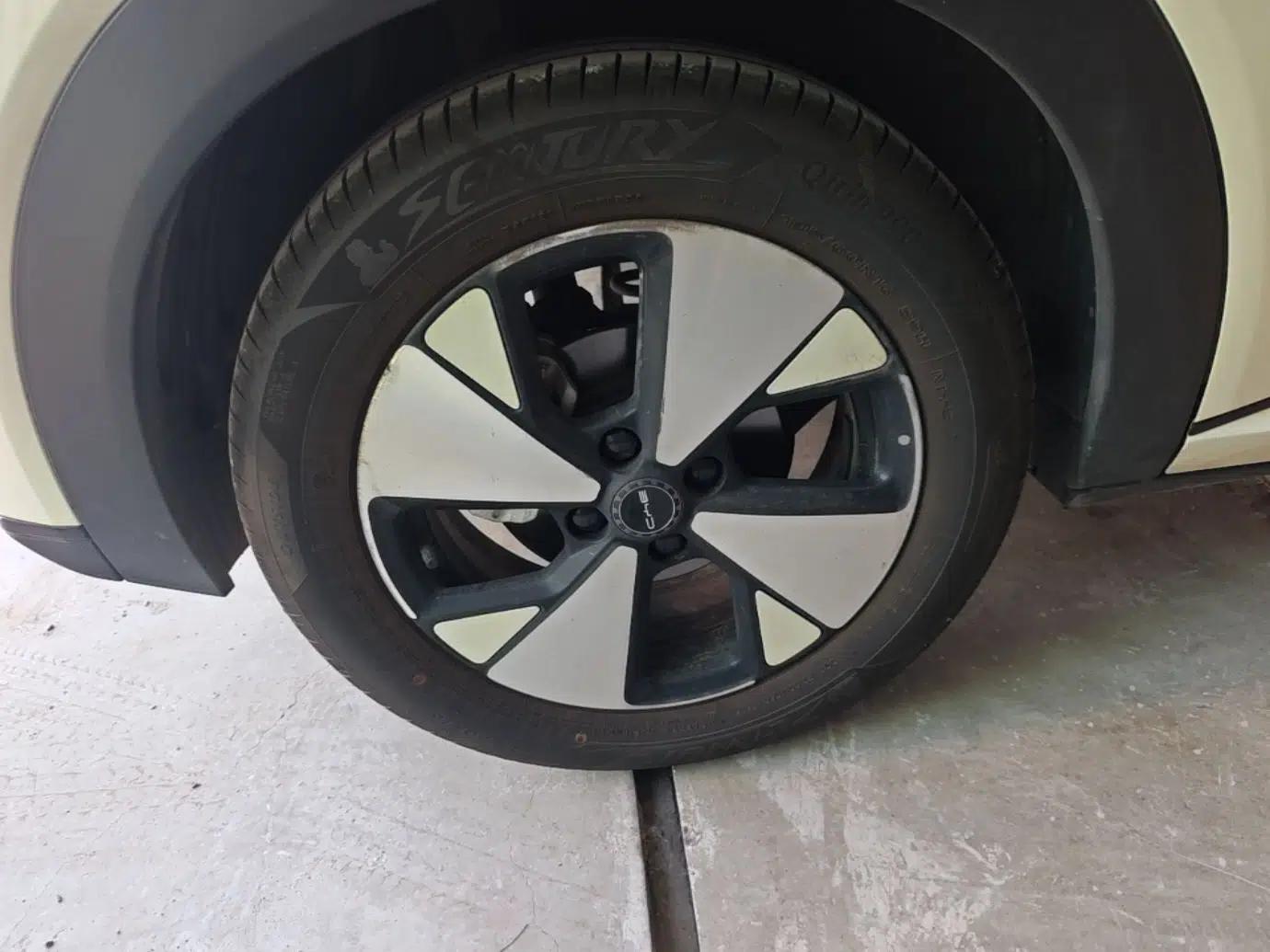 BYD Dolphin 2023 420 km Fashion Edition — миниатюра 11