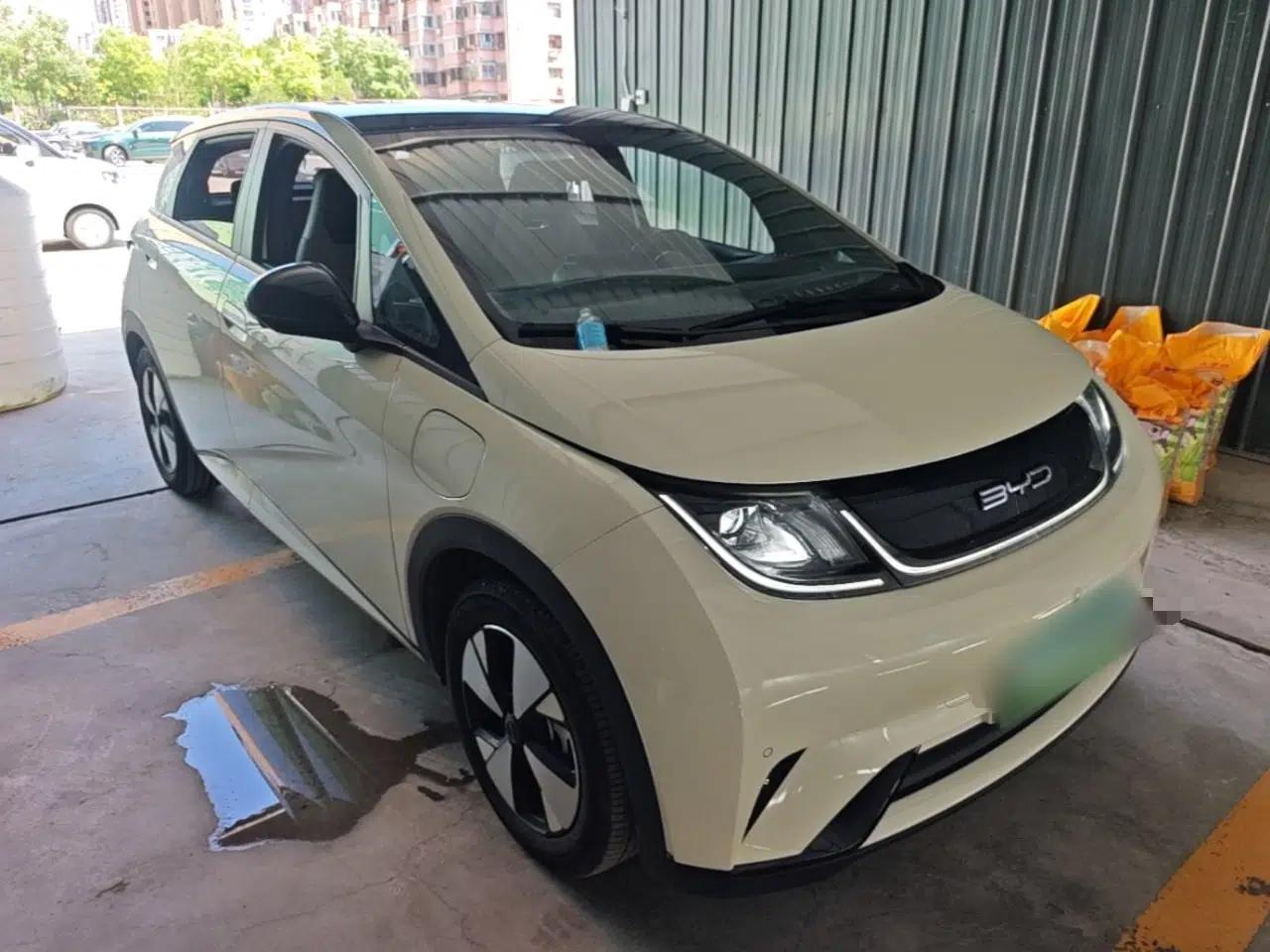 BYD Dolphin 2023 420 km Fashion Edition — миниатюра 3