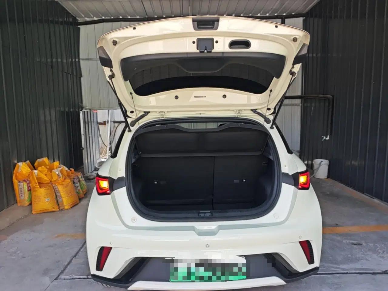 BYD Dolphin 2023 420 km Fashion Edition — миниатюра 22