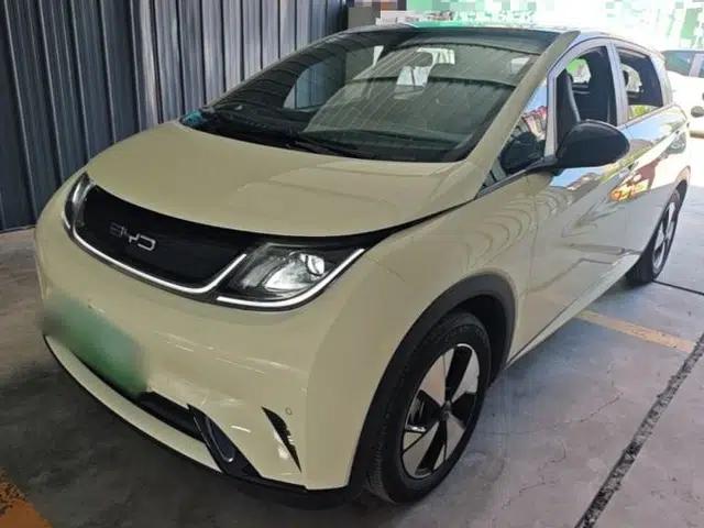 BYD Dolphin 2023 420 km Fashion Edition