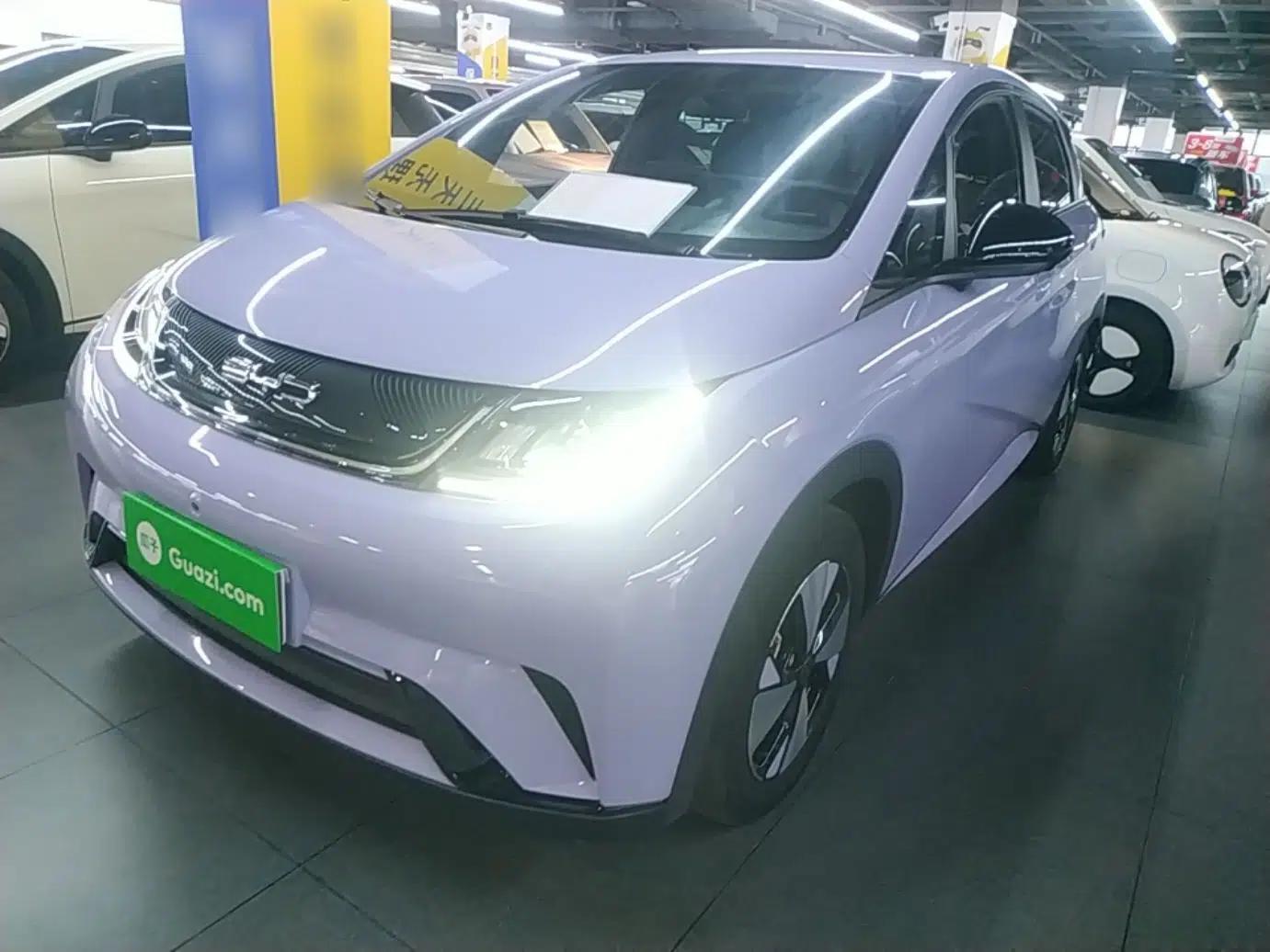 BYD Dolphin 2023 420 km Free Version — миниатюра 1