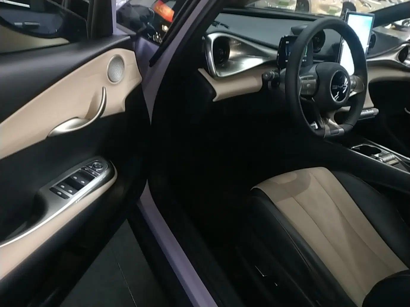 BYD Dolphin 2023 420 km Free Version — миниатюра 18