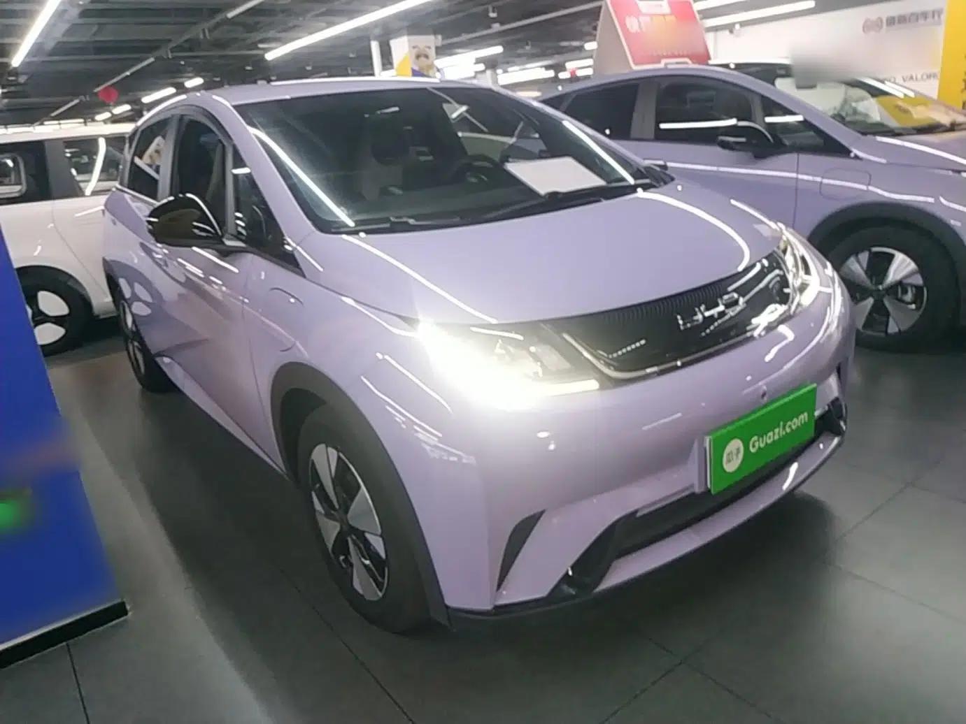 BYD Dolphin 2023 420 km Free Version — миниатюра 3