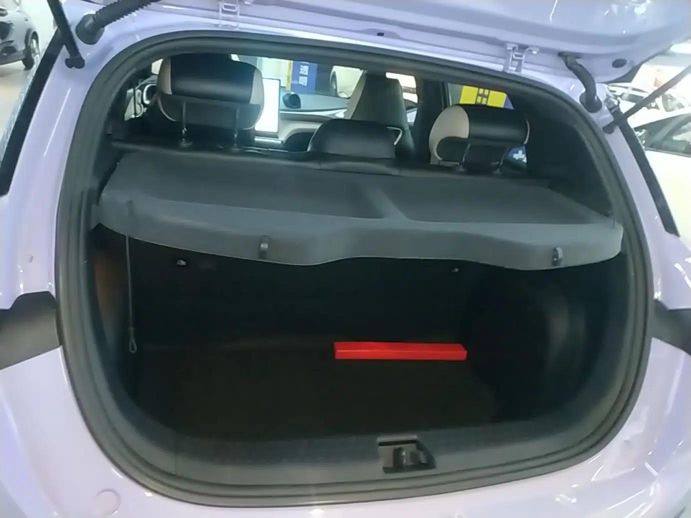 BYD Dolphin 2023 420 km Free Version — миниатюра 22