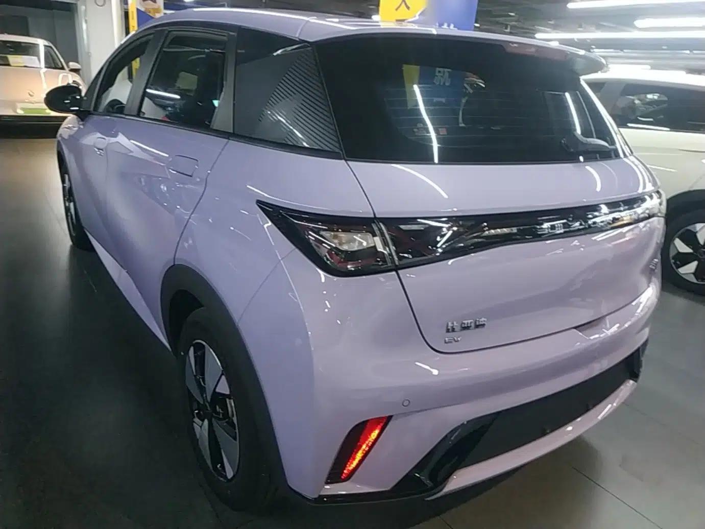 BYD Dolphin 2023 420 km Free Version — миниатюра 4
