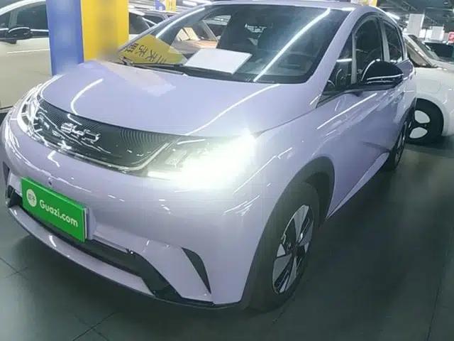 BYD Dolphin 2023 420 km Free Version