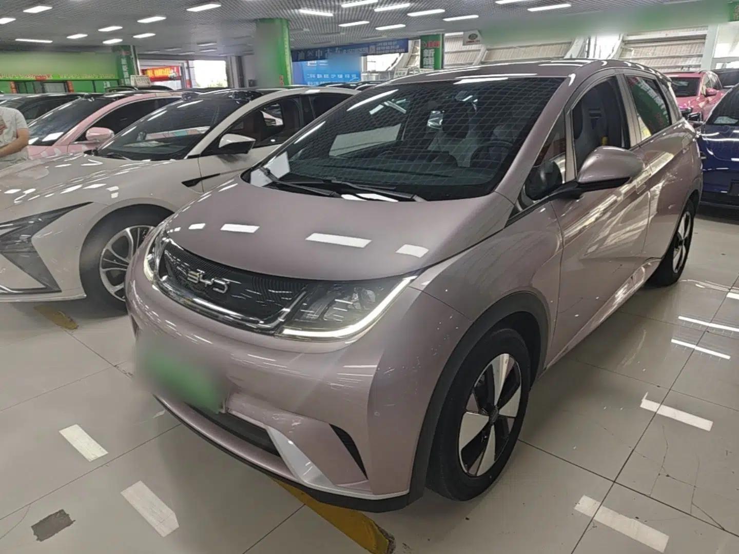 BYD Dolphin 2023 420 km Free Version — миниатюра 1