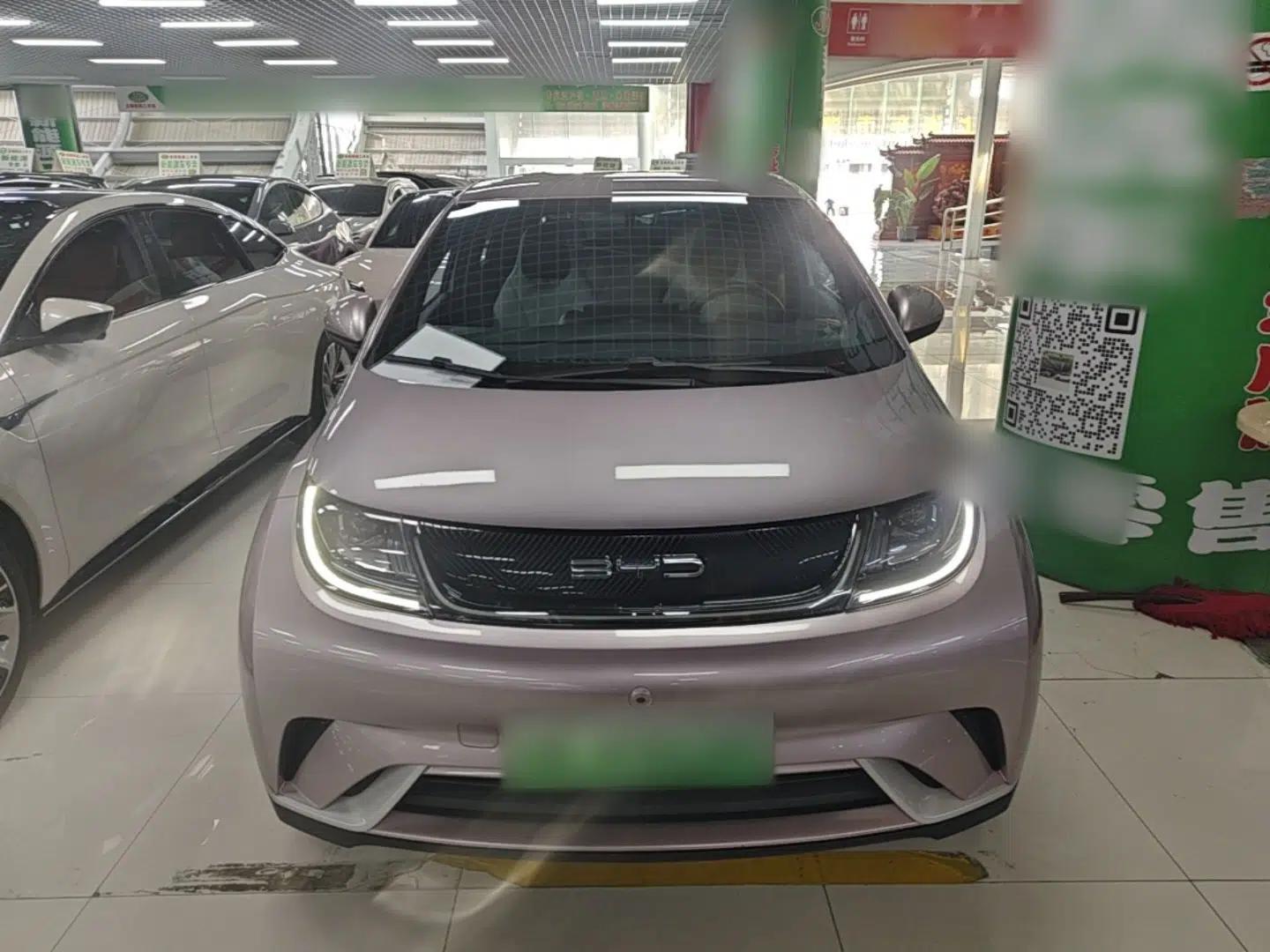 BYD Dolphin 2023 420 km Free Version — миниатюра 2