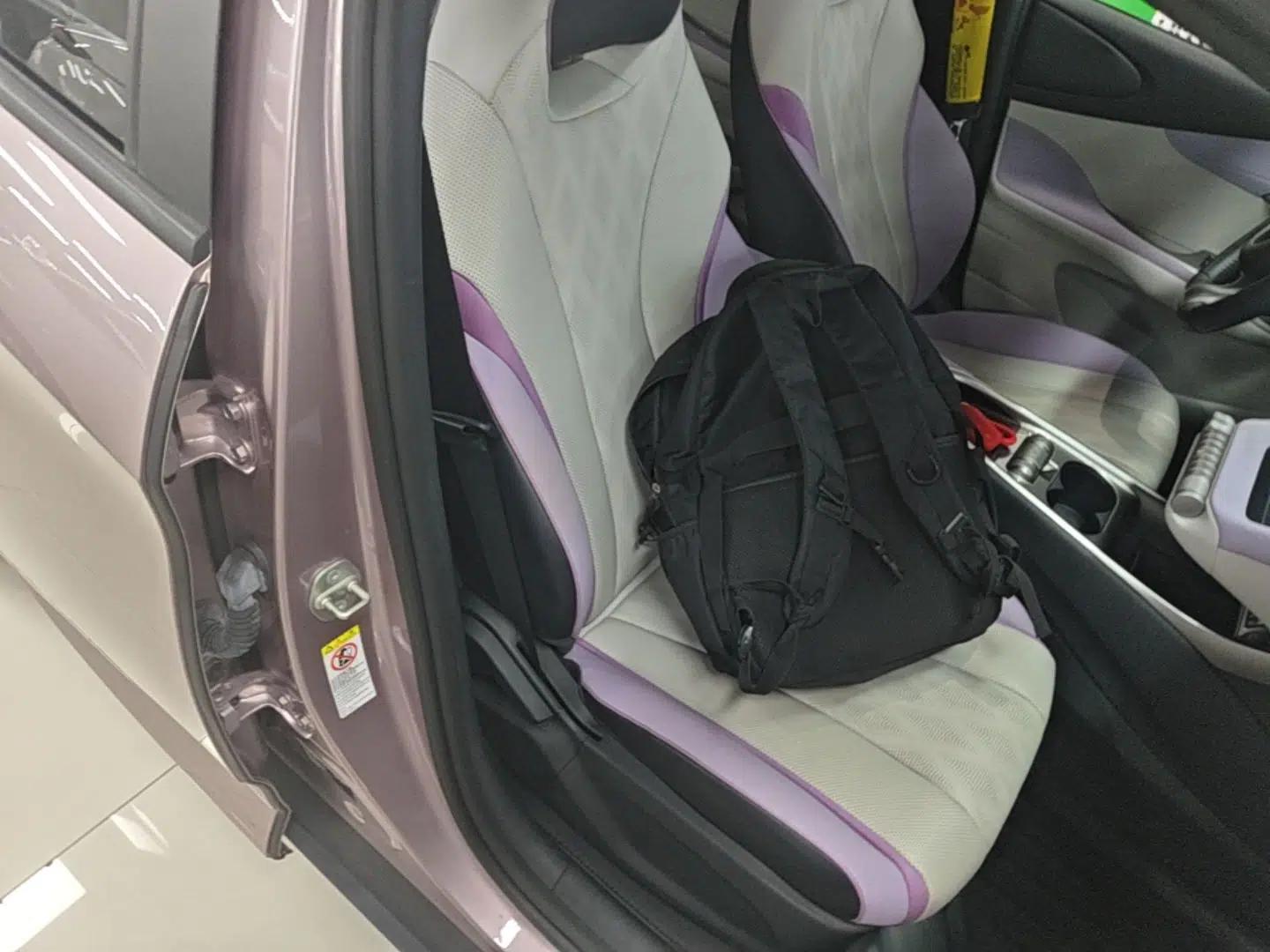 BYD Dolphin 2023 420 km Free Version — миниатюра 19